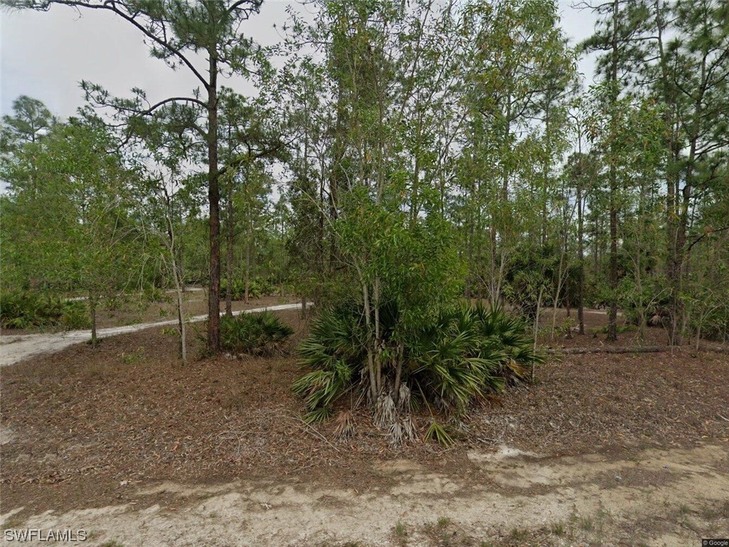118 Monroe Avenue Lehigh Acres FL 33936 223066857 image1