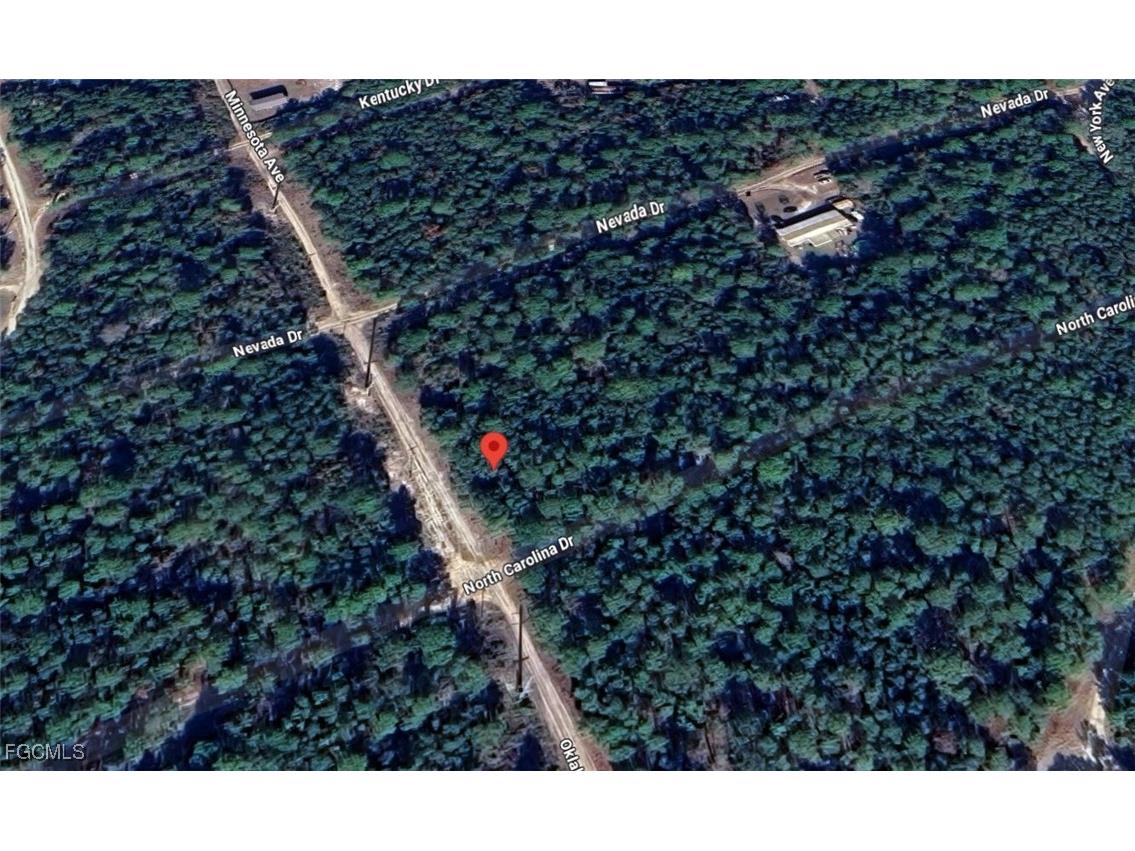 118 N Carolina Drive Satsuma FL 32189 2025000617 image4