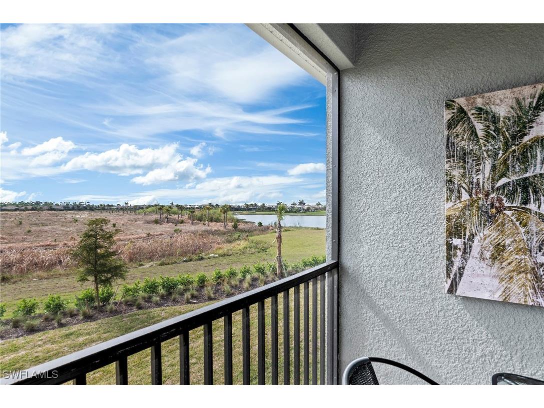 11801 Venetian Lagoon Drive #203 Fort Myers FL 33913 224086974 image20