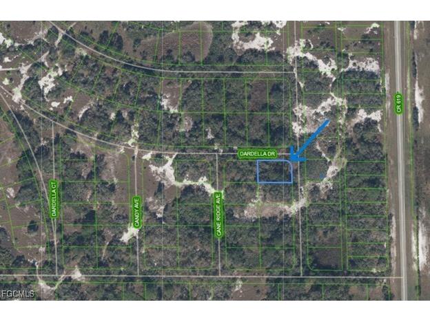 1181 Ebbtide Avenue Lake Placid FL 33852 2025021765 image1