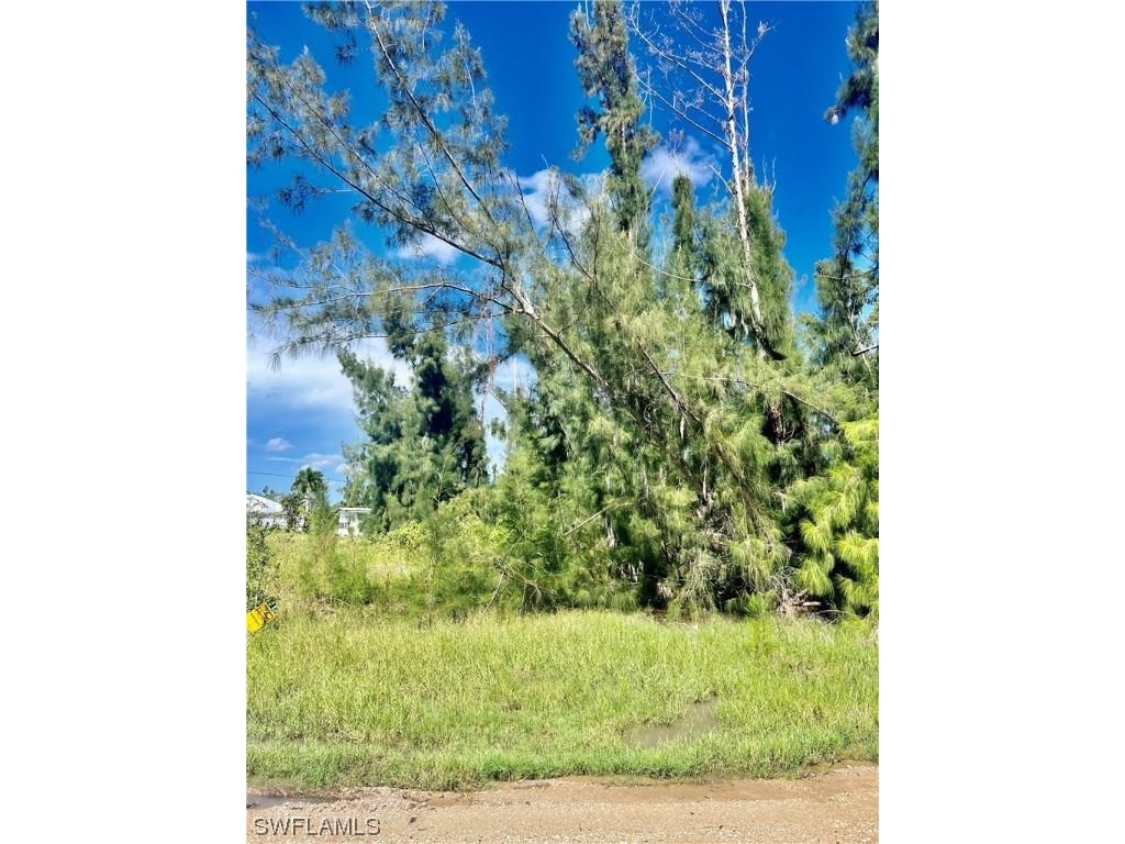 11811 Pompano Avenue Cape Coral FL 33991 223071465 image1