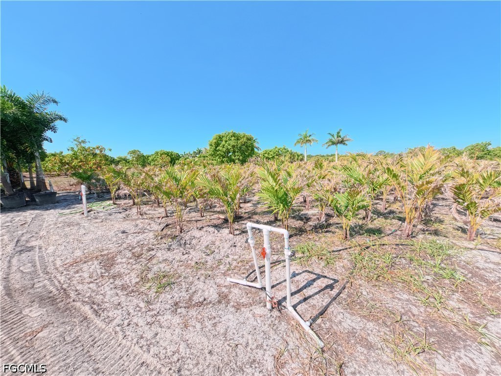 11851 Stringfellow Road Bokeelia FL 33922 2026020112 image19