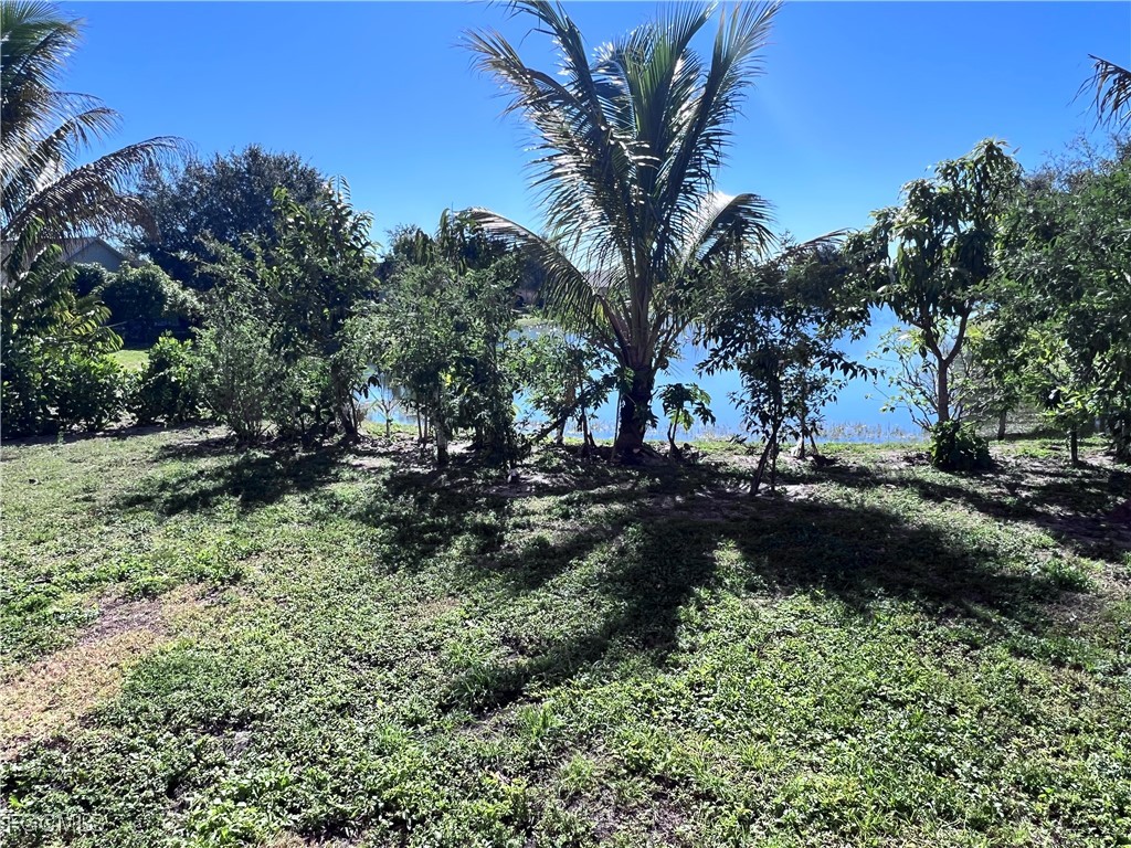 1187 Bush Street E Immokalee FL 34142 2026005836 image16