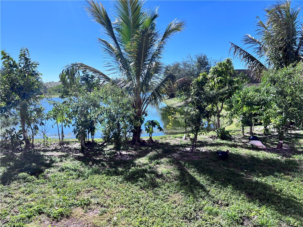 1187 Bush Street E Immokalee FL 34142 2026005836 image21