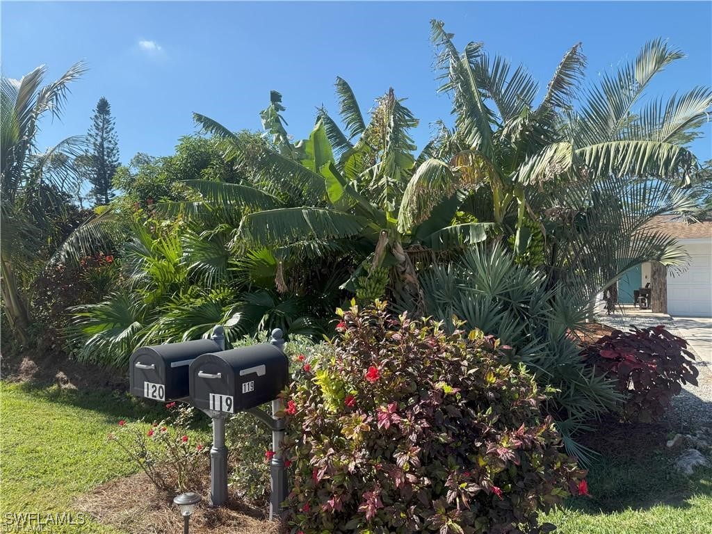 119 Flame Vine Drive Naples FL 34110 225068286 image19