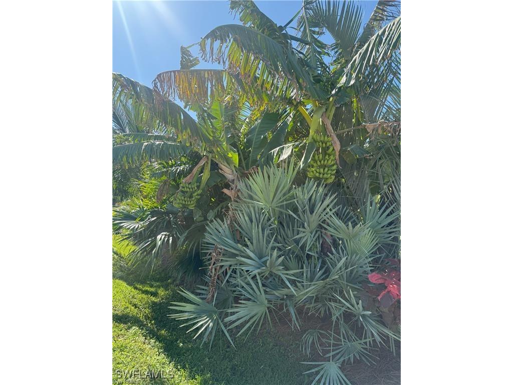 119 Flame Vine Drive Naples FL 34110 225068286 image20