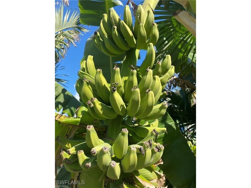 119 Flame Vine Drive Naples FL 34110 225068286 image23