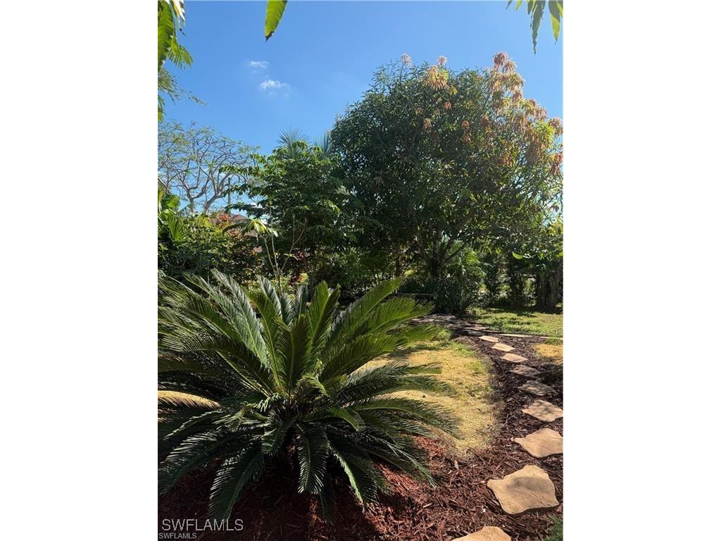 119 Flame Vine Drive Naples FL 34110 225068286 image31