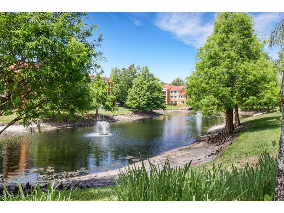 1190 Reserve Way #206 Naples FL 34105 225043989 image25