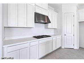 11907 Raggio Drive Fort Myers FL 33913 226014603 image4