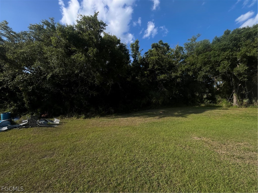 1195 Blueberry Lane Labelle FL 33935 2026000843 image18