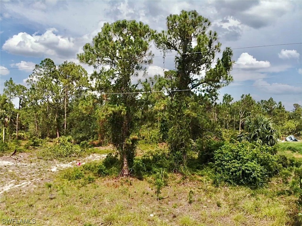 1198 Dixie Avenue Lehigh Acres FL 33972 223040449 image1
