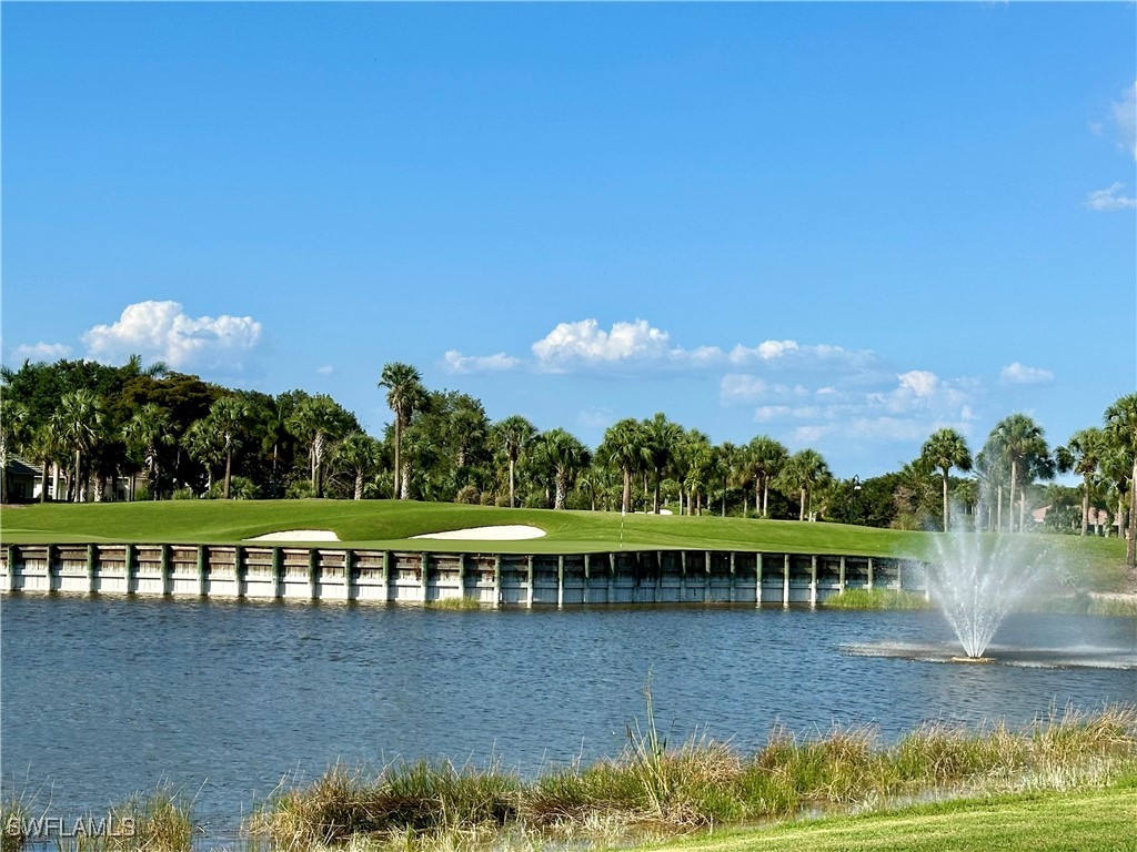 11982 Heather Woods Court Naples FL 34120 226001857 image33