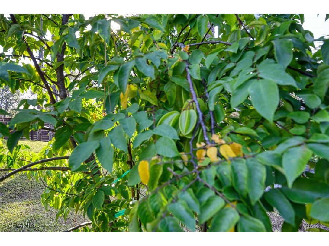 12 35th Avenue NW Naples FL 34120 225081111 image45