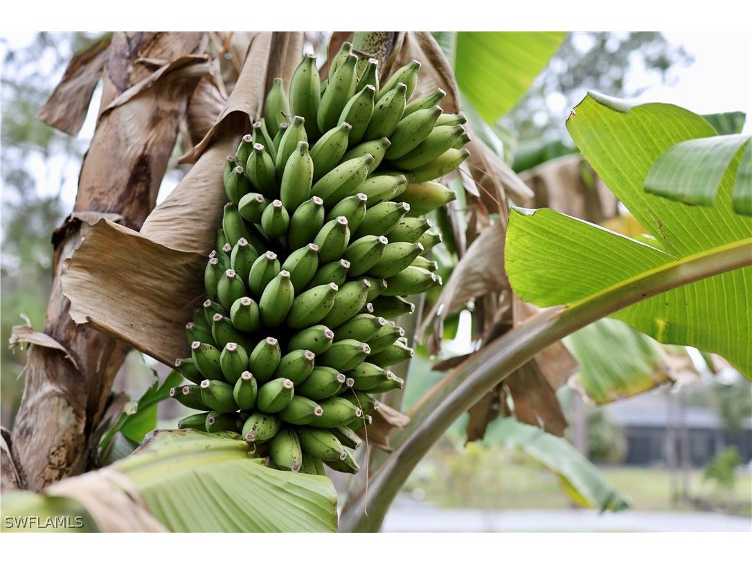 12 35th Avenue NW Naples FL 34120 226006579 image44