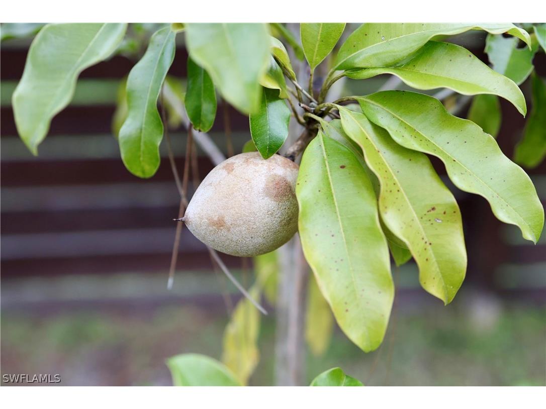 12 35th Avenue NW Naples FL 34120 226006579 image46