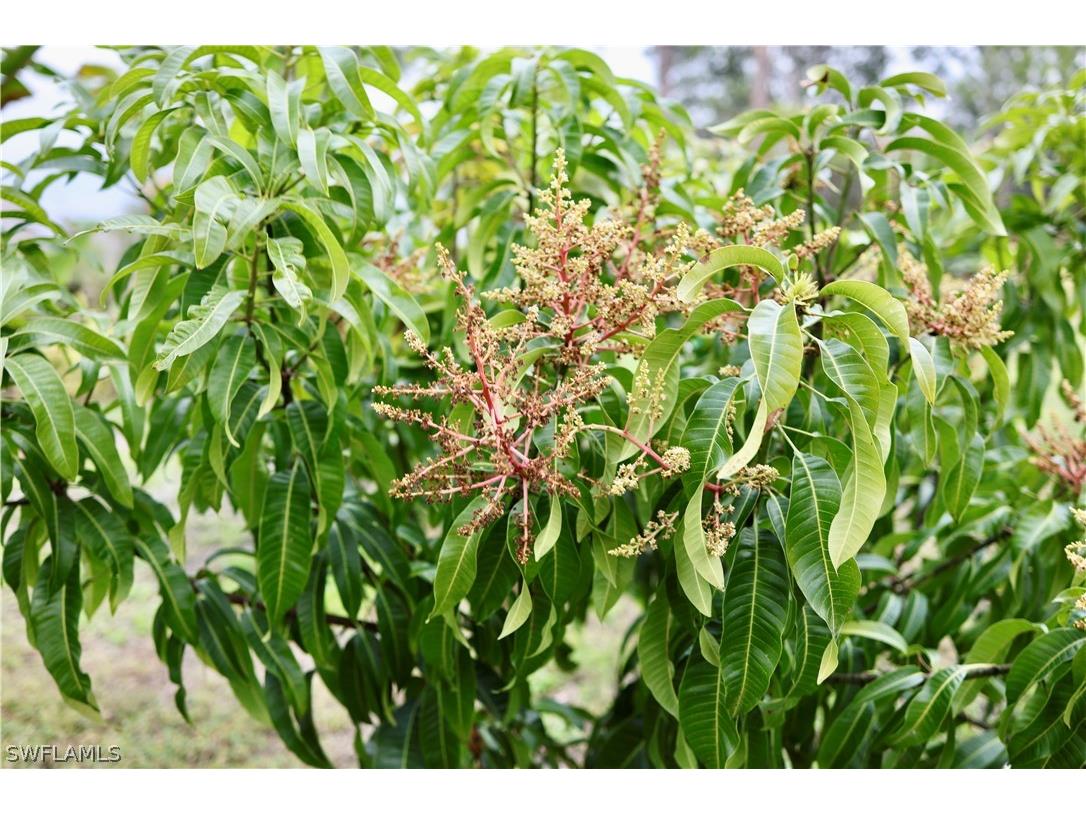 12 35th Avenue NW Naples FL 34120 226006579 image47