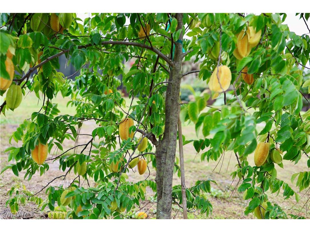 12 35th Avenue NW Naples FL 34120 226006579 image48