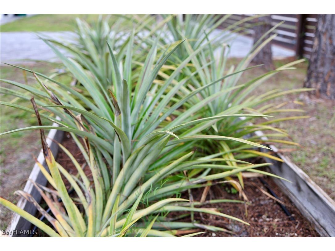 12 35th Avenue NW Naples FL 34120 226006579 image49