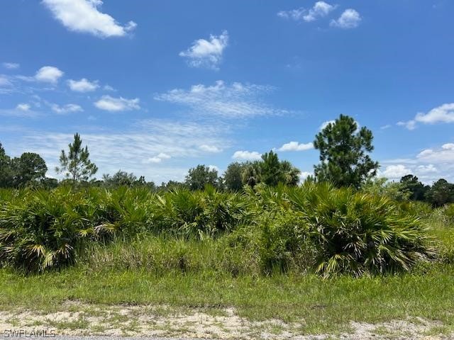 1200 E 9th Street Lehigh Acres FL 33972 224056458 image1