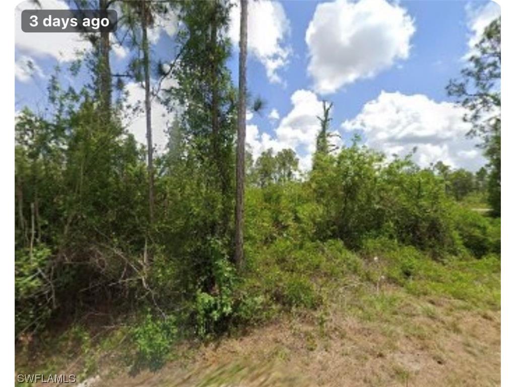 1200 Grant Avenue Lehigh Acres FL 33972 223032505 image1