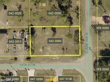 1201 Elaine Avenue N Lehigh Acres FL 33971 226017103 image1