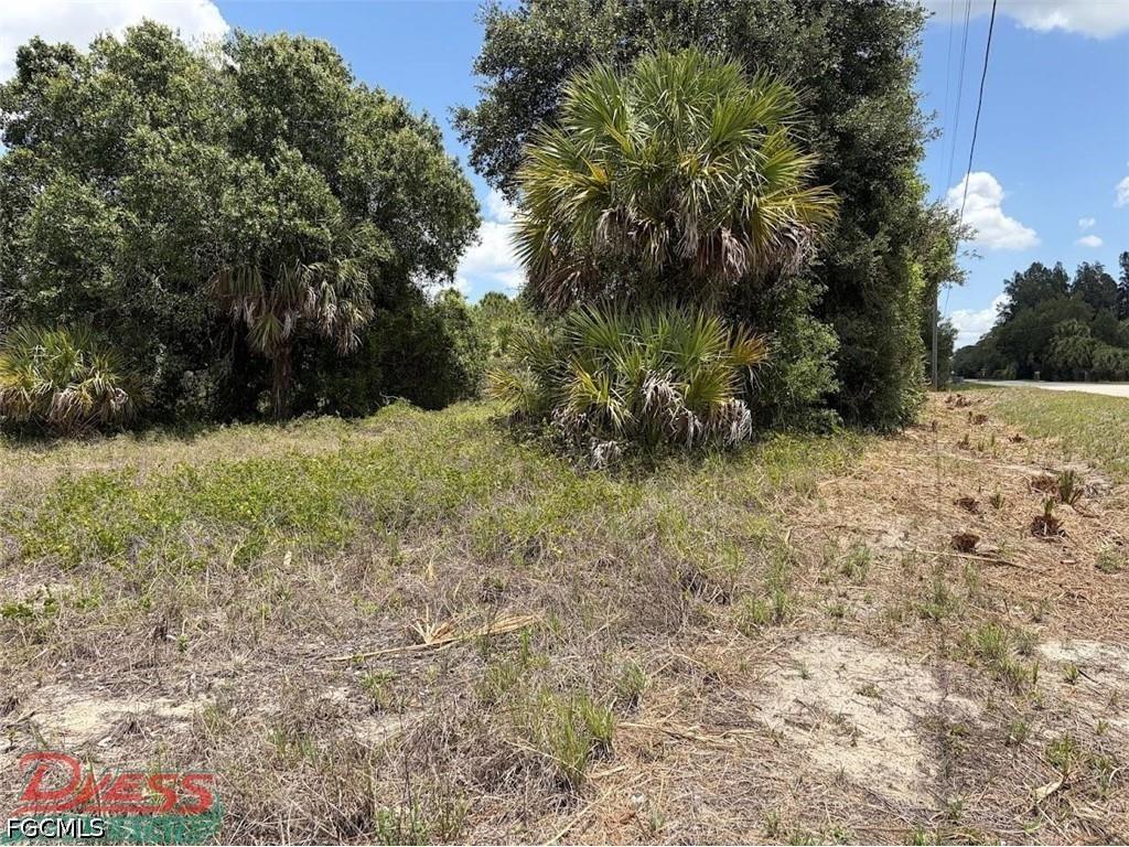 1201 Homestead Avenue Clewiston FL 33440 2026010071 image11