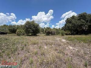 1201 Homestead Avenue Clewiston FL 33440 2026010071 image12