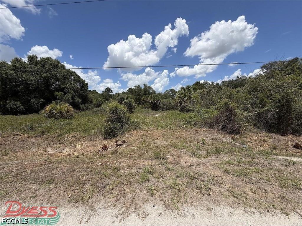 1201 Homestead Avenue Clewiston FL 33440 2026010071 image13