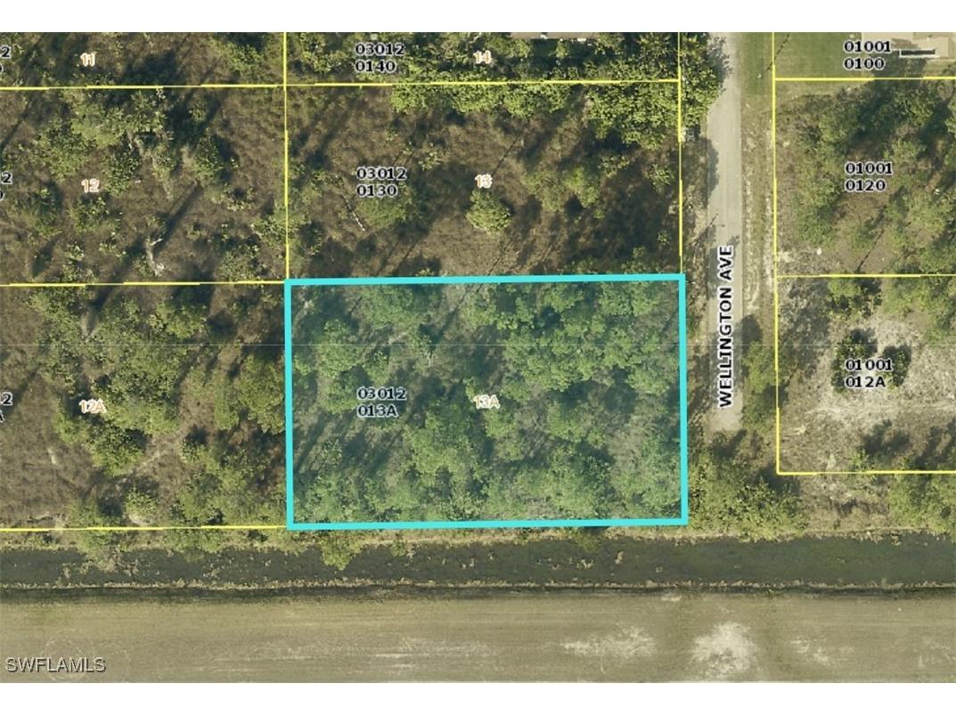 1201 Wellington Avenue Lehigh Acres FL 33972 225044454 image1