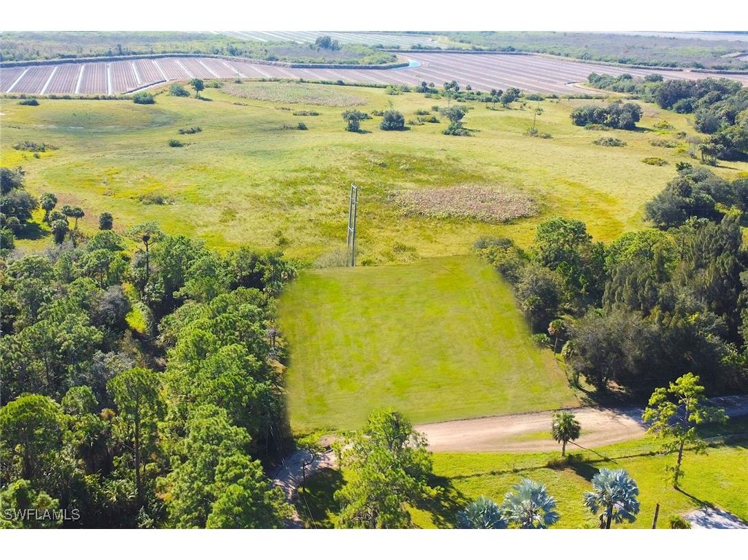 1202 Arden Avenue Immokalee FL 34142 225080919 image3