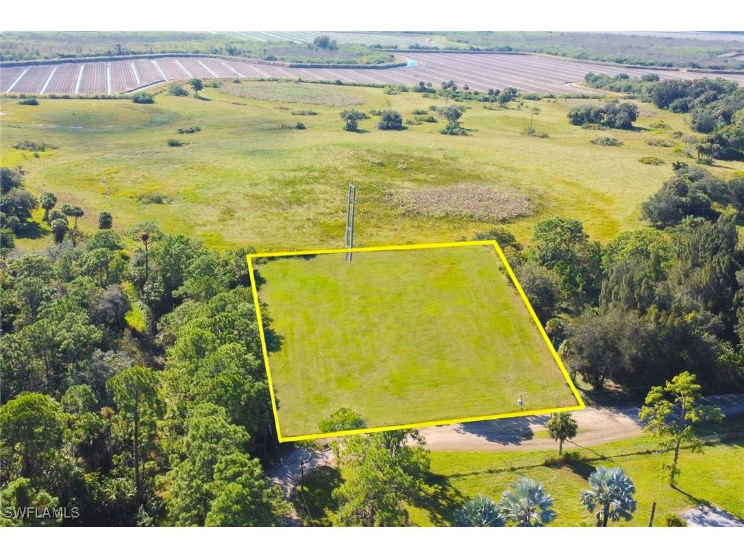 1202 Arden Avenue Immokalee FL 34142 225080919 image4