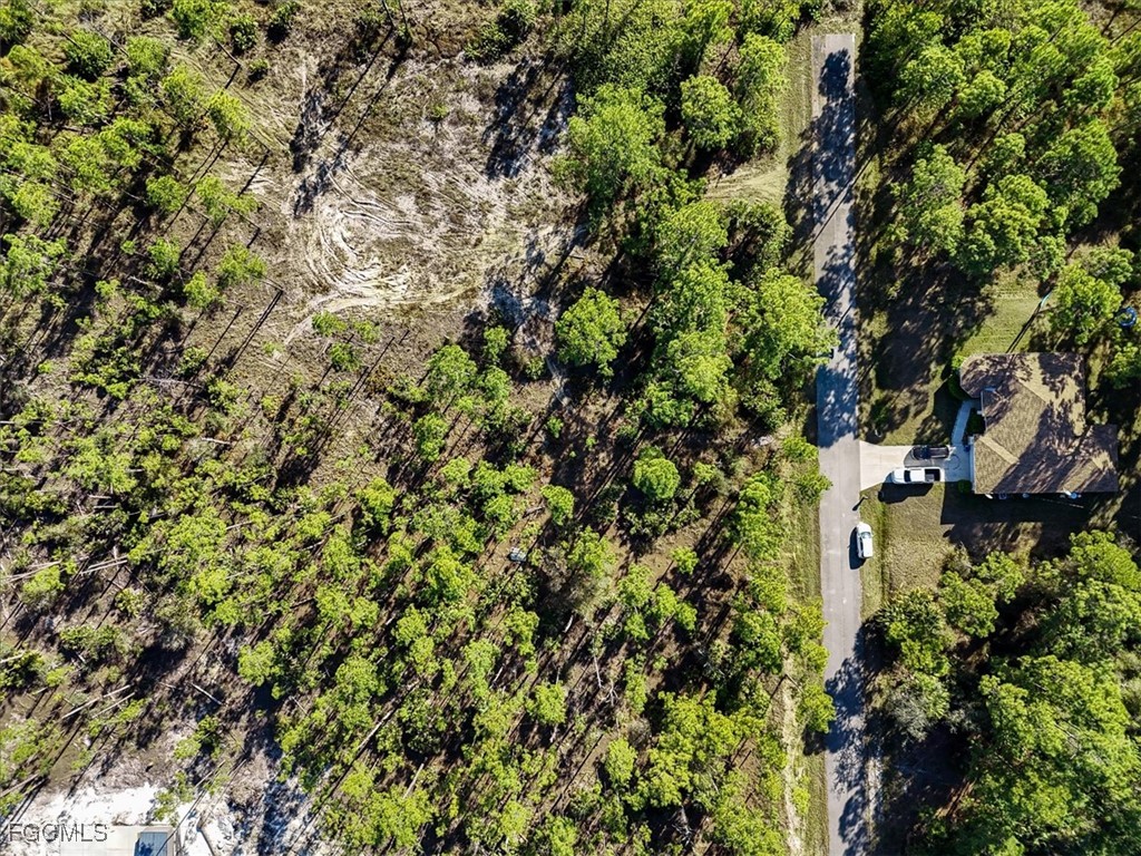 1202 Hamilton Avenue Lehigh Acres FL 33972 2026001608 image16