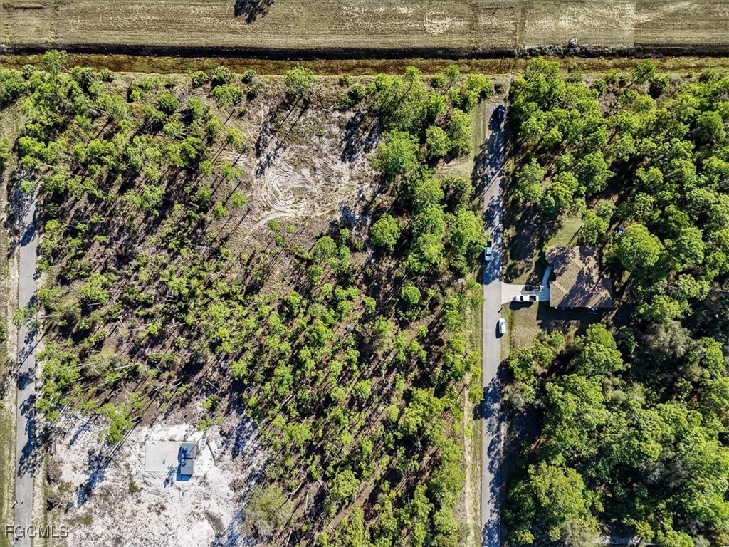 1202 Hamilton Avenue Lehigh Acres FL 33972 2026001608 image17