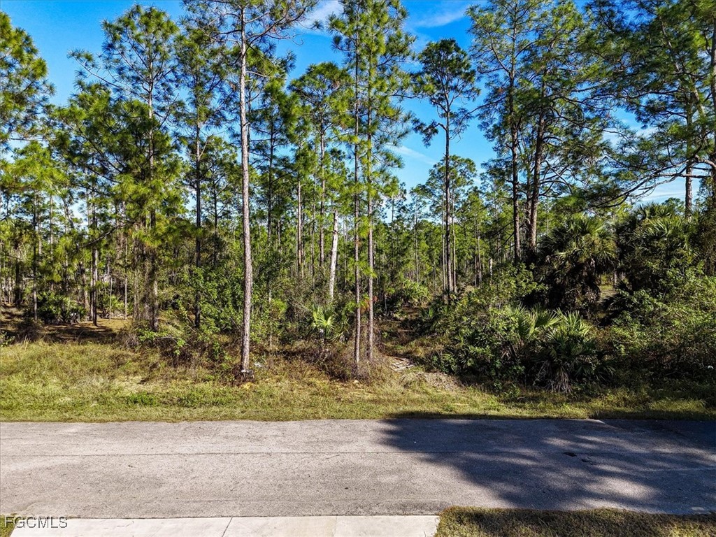 1202 Hamilton Avenue Lehigh Acres FL 33972 2026001608 image5