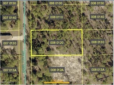 1202 Hamilton Avenue Lehigh Acres FL 33972 225081721 image1