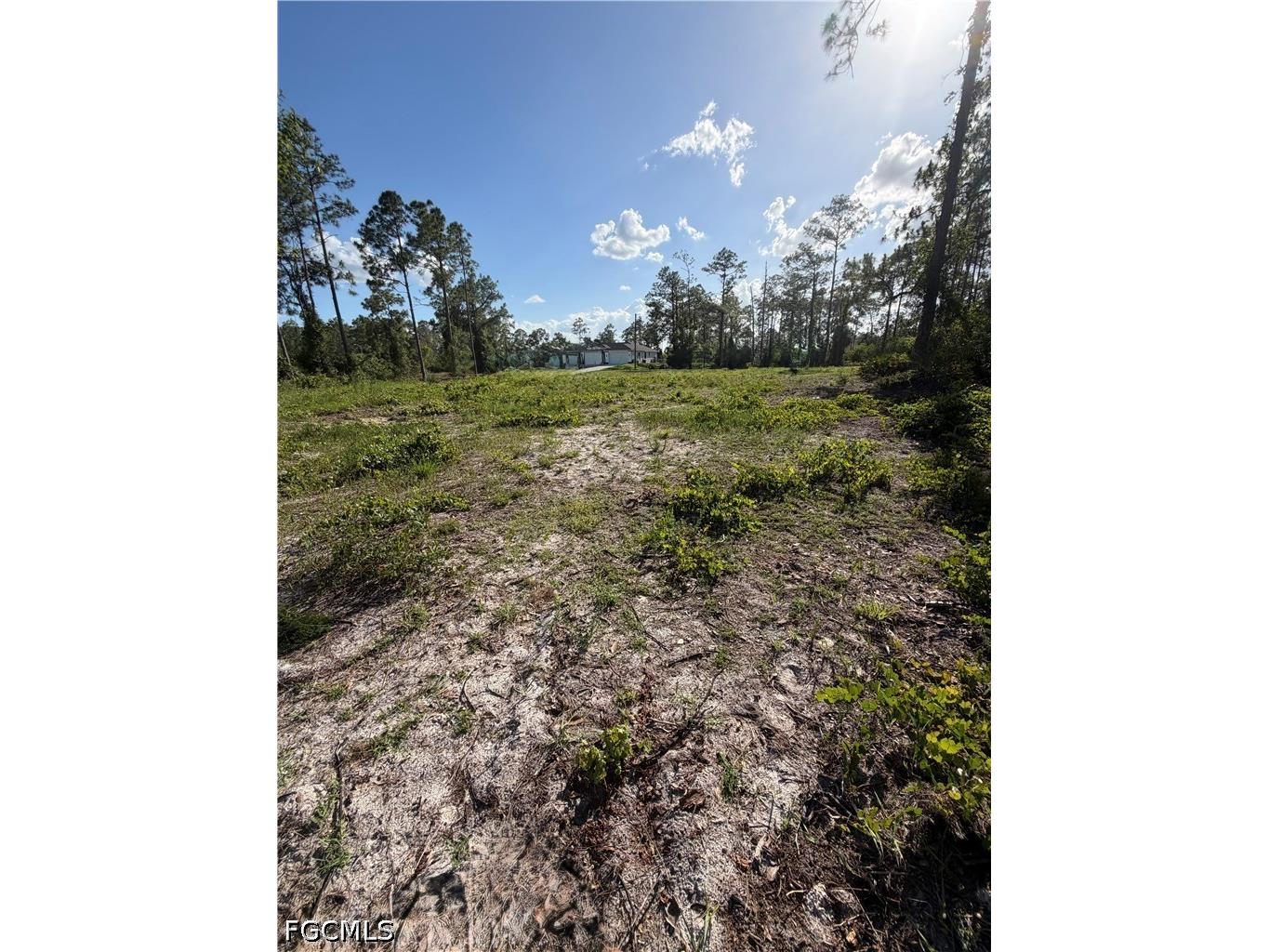 1202 Johns Avenue Lehigh Acres FL 33972 2026023216 image4