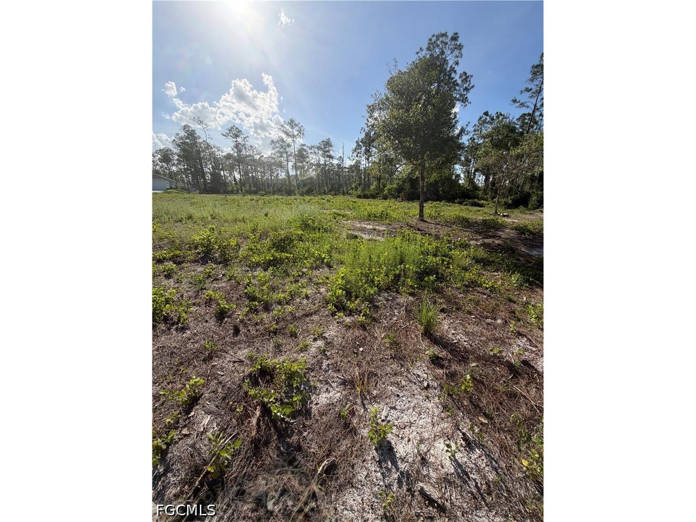 1202 Johns Avenue Lehigh Acres FL 33972 2026023216 image5