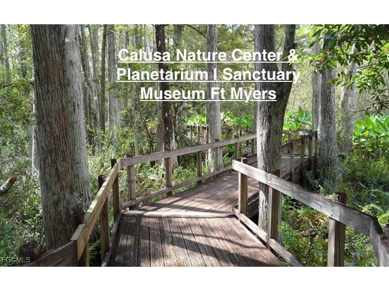 1202 Magnolia Avenue Lehigh Acres FL 33972 2025019952 image4