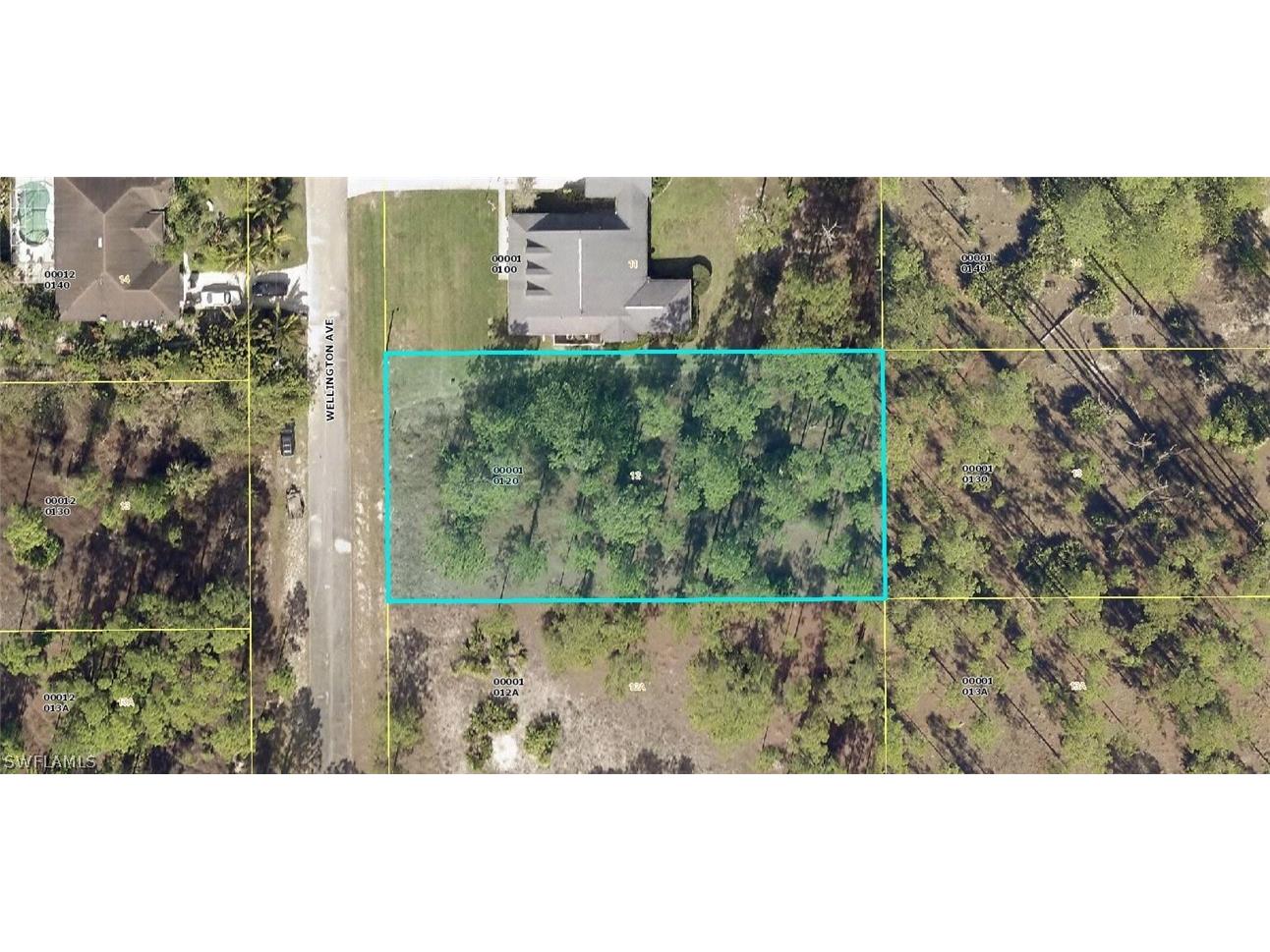 1202 Wellington Avenue Lehigh Acres FL 33972 222078809 image1