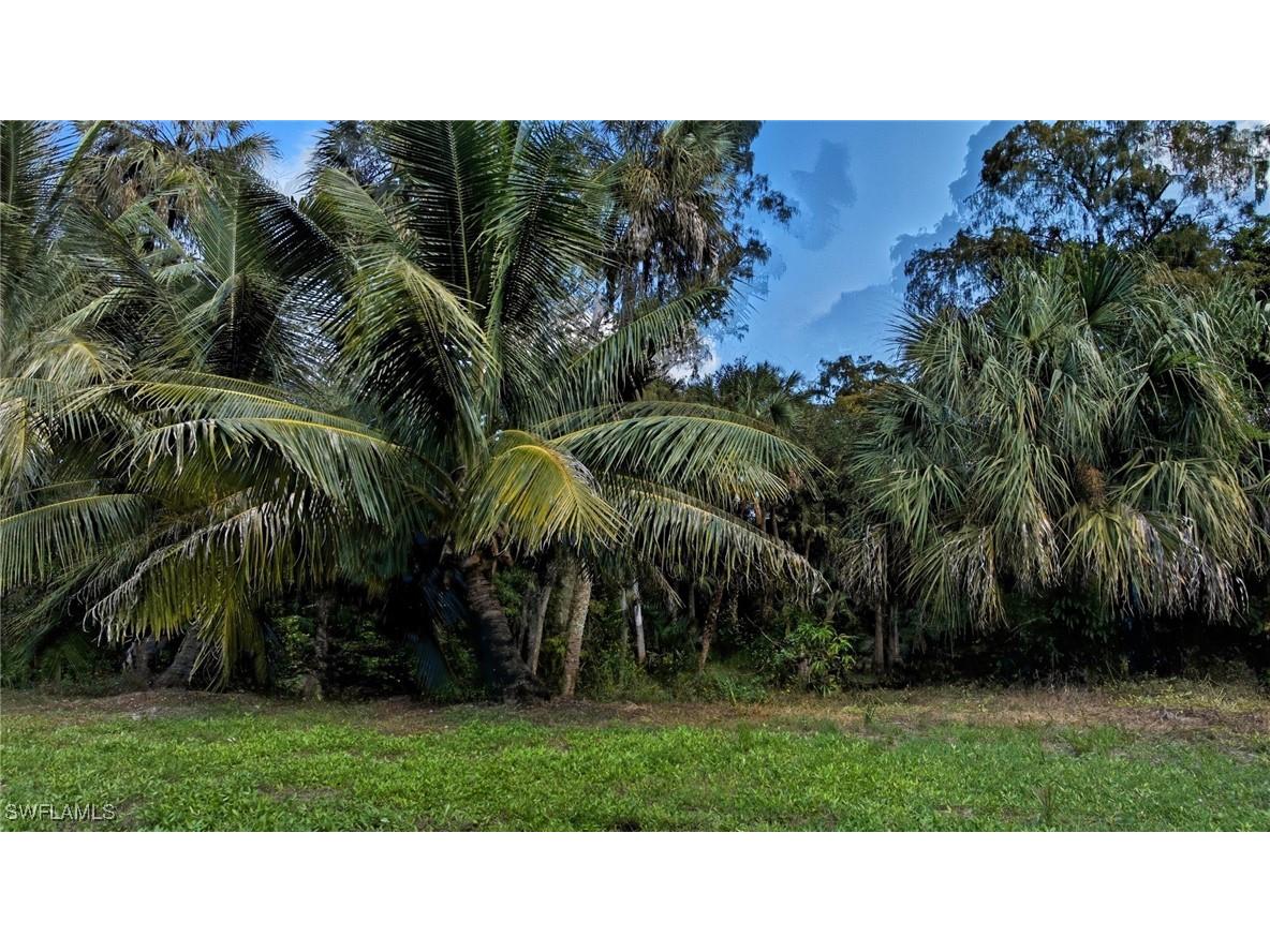 12025 Carpenter Lane Bonita Springs FL 34135 225075495 image19