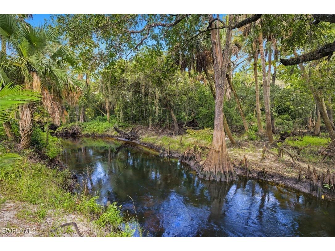 12025 Carpenter Lane Bonita Springs FL 34135 225075495 image2