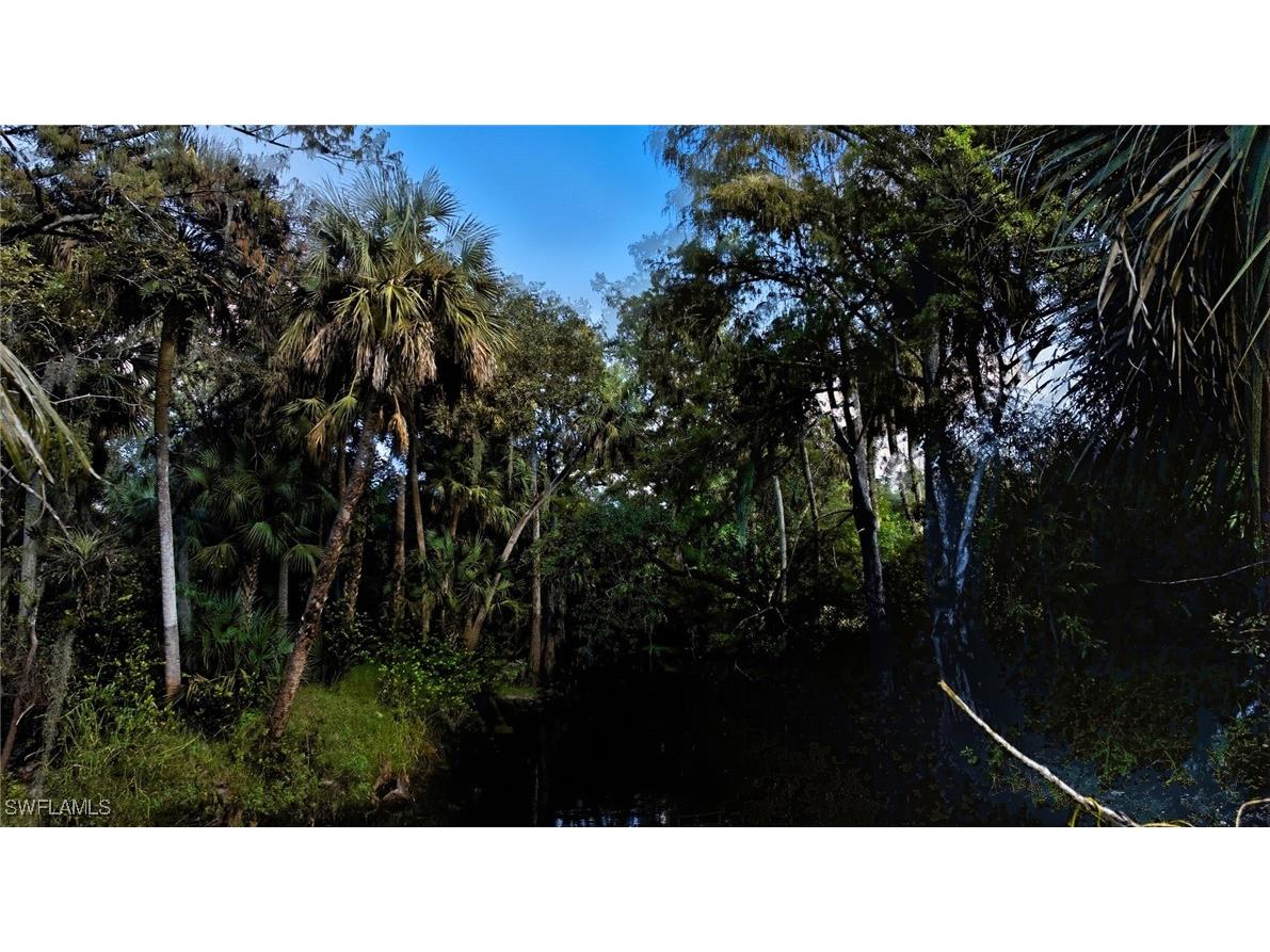 12025 Carpenter Lane Bonita Springs FL 34135 225075495 image21