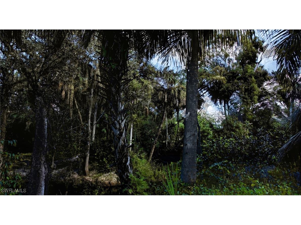 12025 Carpenter Lane Bonita Springs FL 34135 225075495 image22