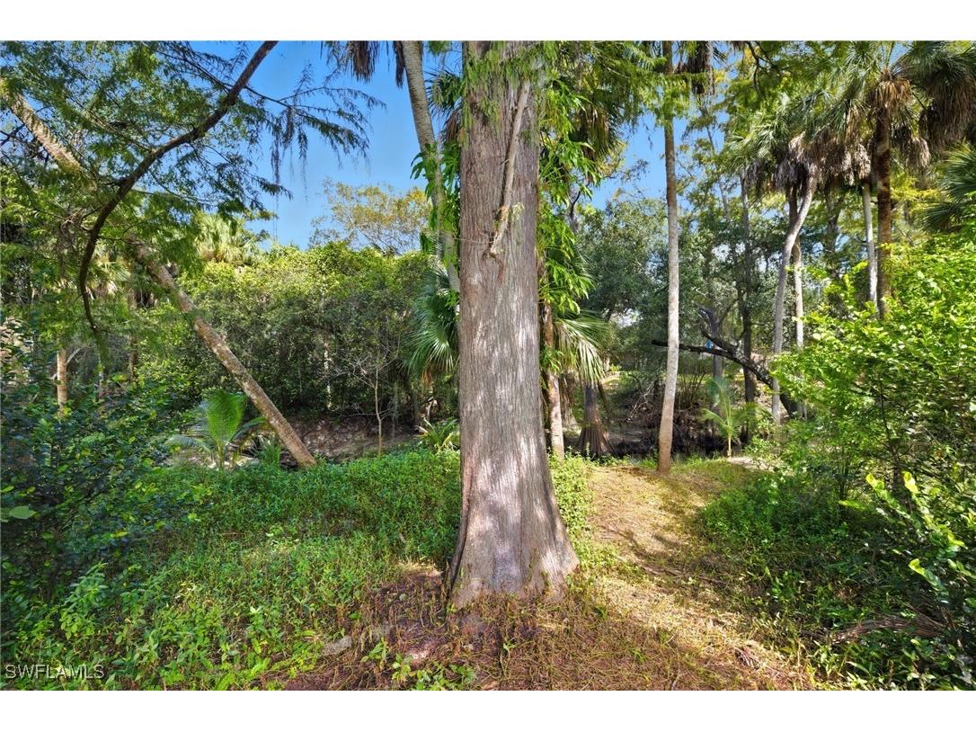 12025 Carpenter Lane Bonita Springs FL 34135 225075495 image32