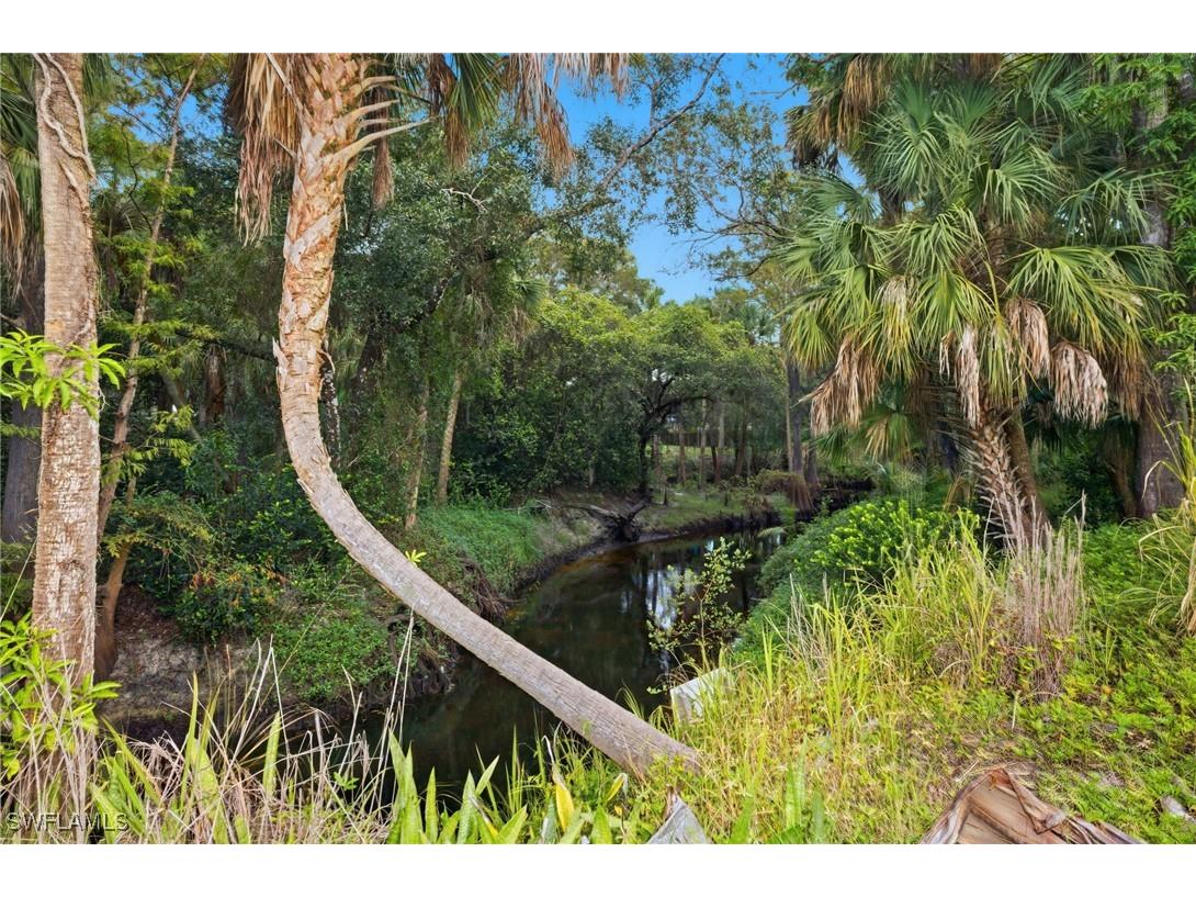 12025 Carpenter Lane Bonita Springs FL 34135 225075495 image34