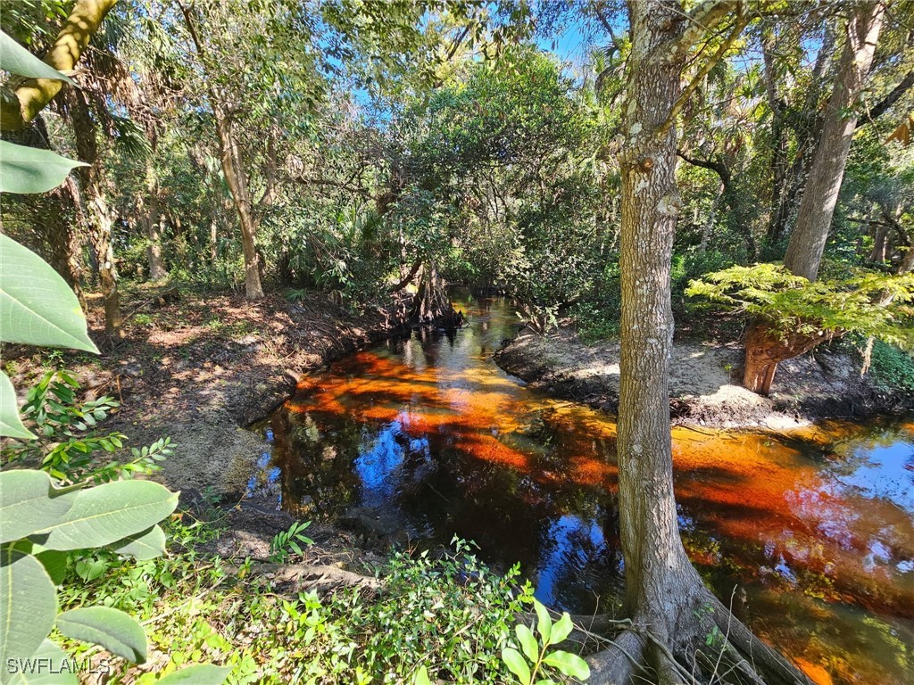 12025 Carpenter Lane Bonita Springs FL 34135 225075495 image36