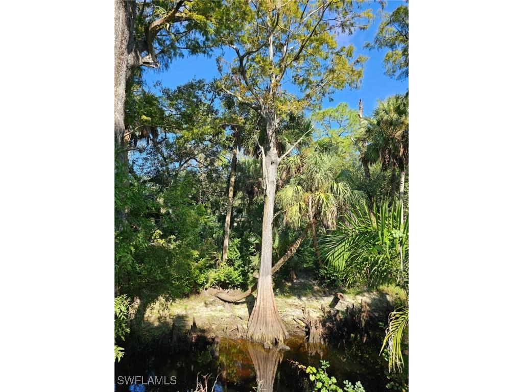 12025 Carpenter Lane Bonita Springs FL 34135 225075495 image38