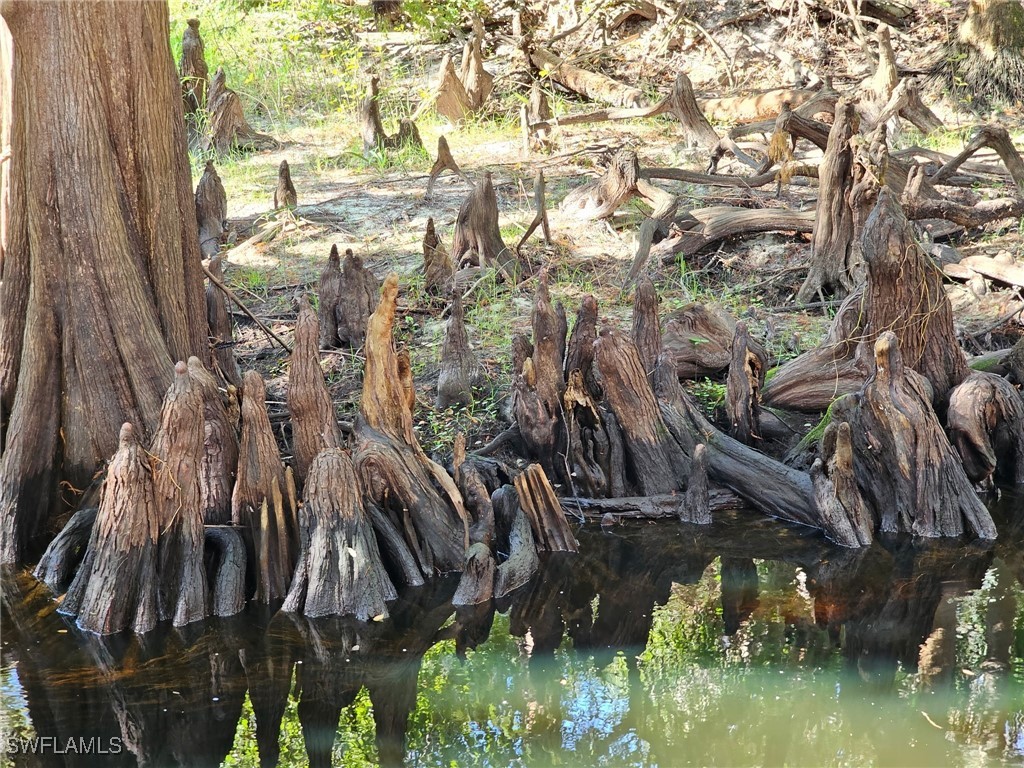 12025 Carpenter Lane Bonita Springs FL 34135 225075495 image40