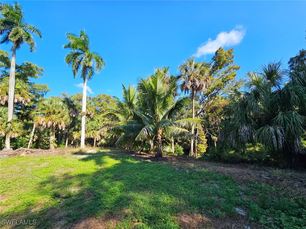 12025 Carpenter Lane Bonita Springs FL 34135 225075495 image41